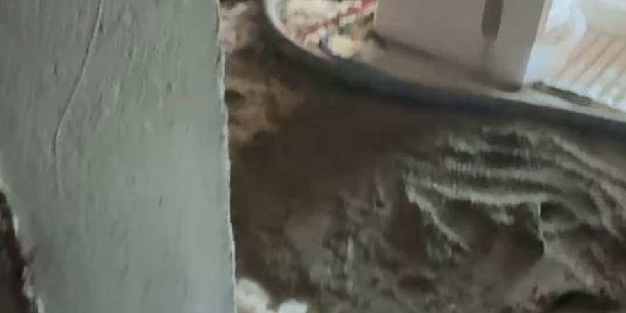 Фото 8. Листопад 2024