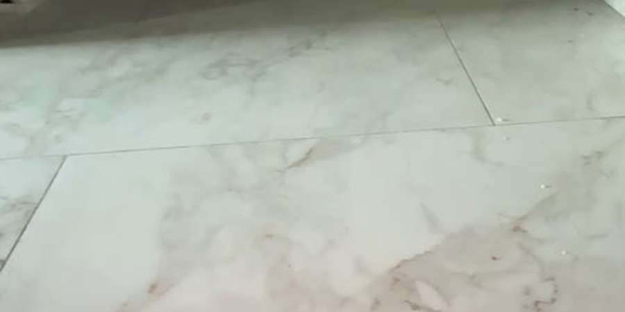 Фото 3. Серпень 2024