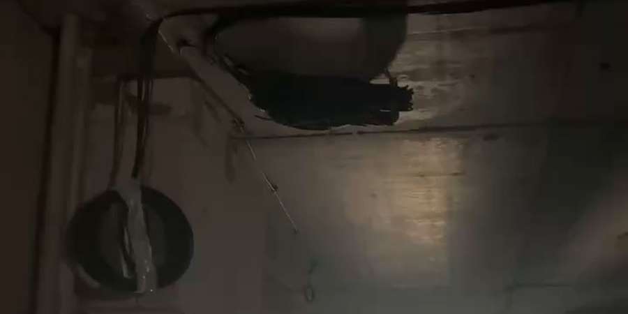 Фото 11. Август 2025