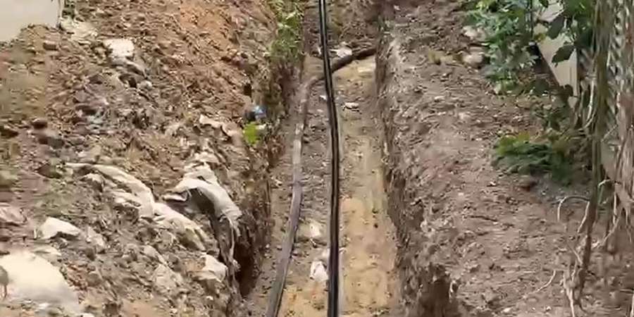 Фото 9. Липень 2025