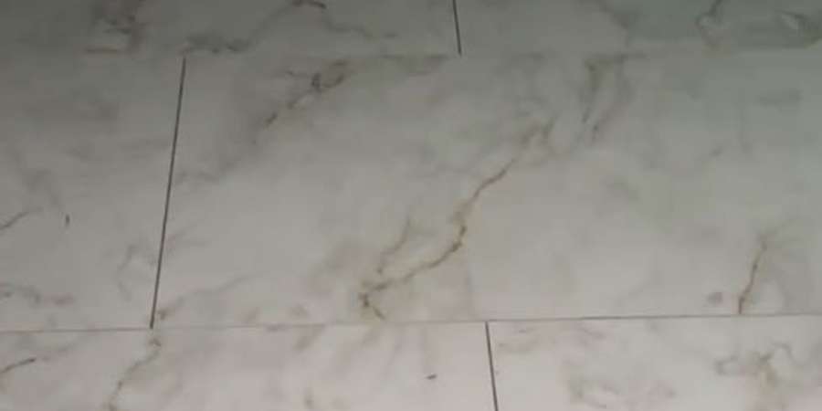 Фото 9. Серпень 2024