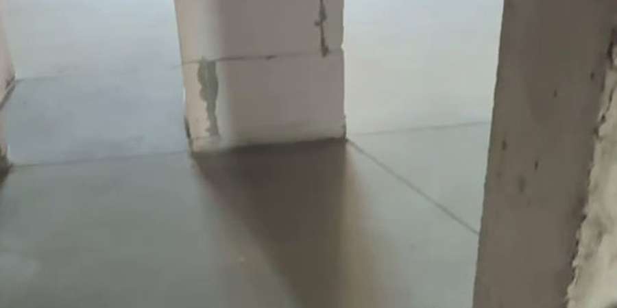 Фото 6. Листопад 2024