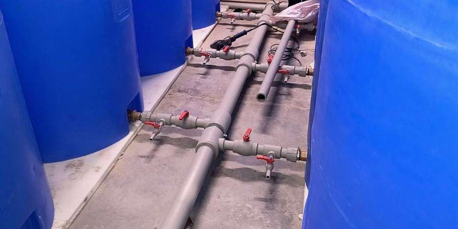 Фото 11. Январь-Февраль 2026