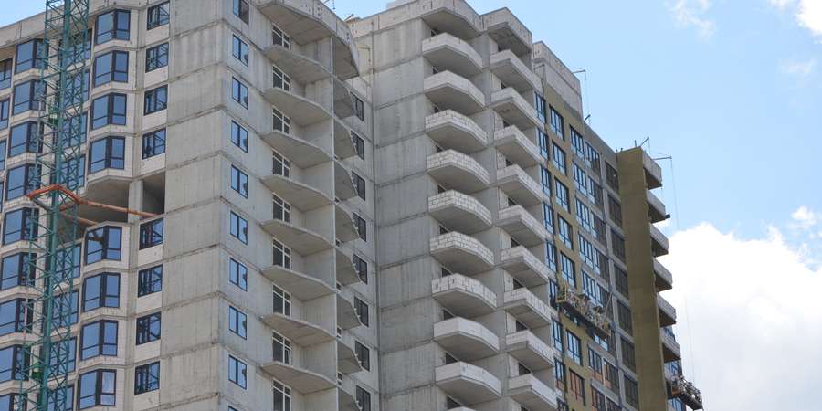 Фото 1. Июль 2023