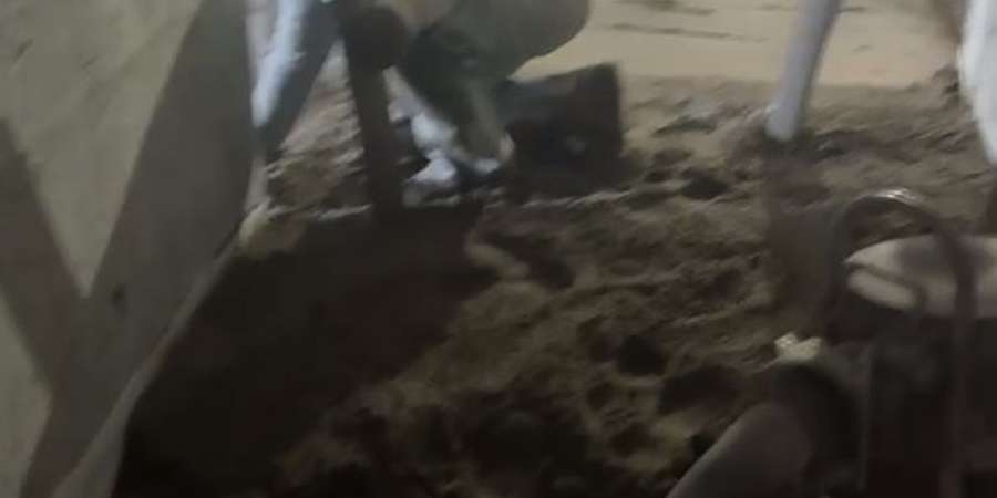 Фото 20. Январь 2025