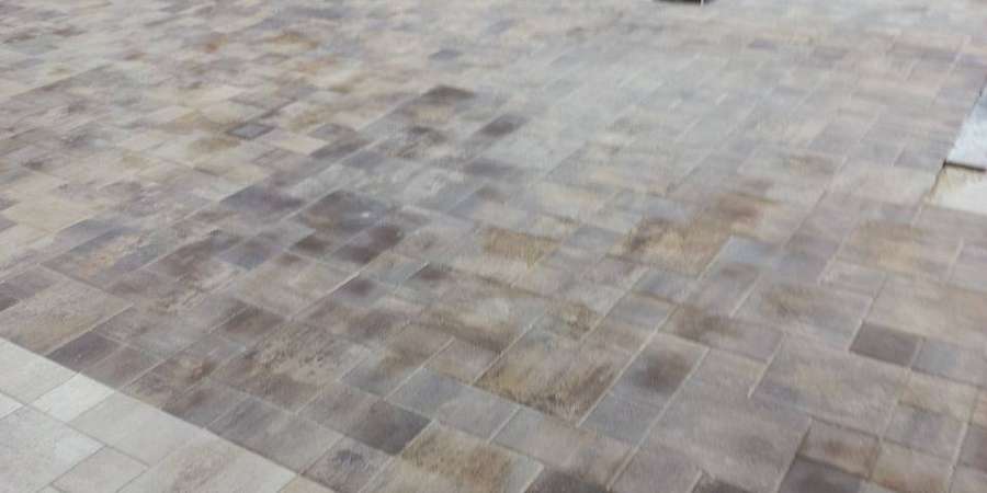 Фото 4. Жовтень 2025