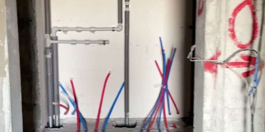 Фото 6. Липень 2024