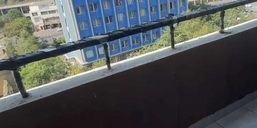 Фото 10. Август 2025