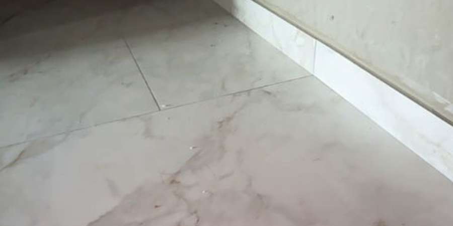 Фото 4. Серпень 2024