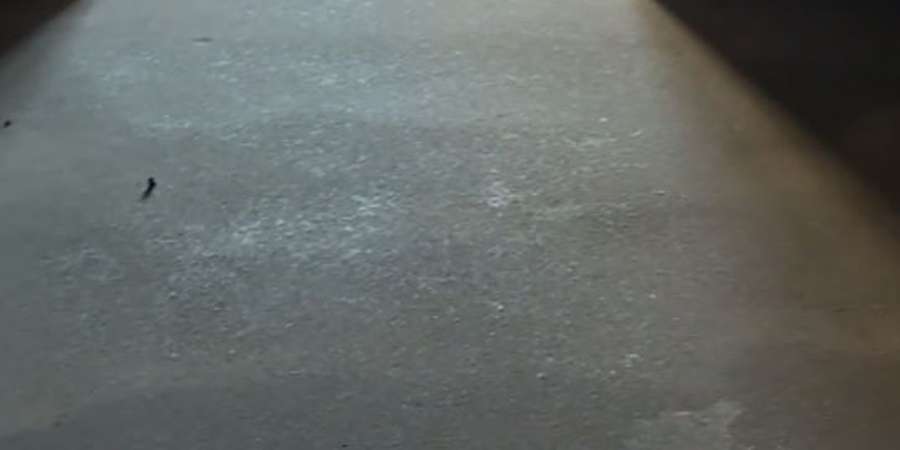 Фото 8. Жовтень 2024