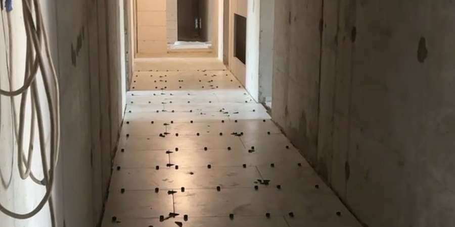 Фото 3. Август 2025