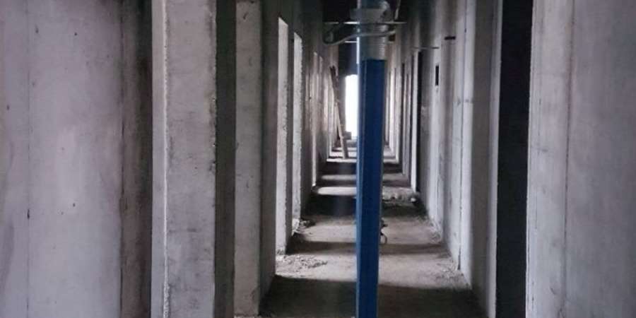 Фото 7. Февраль 2019