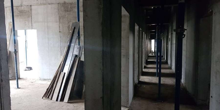 Фото 9. Февраль 2019