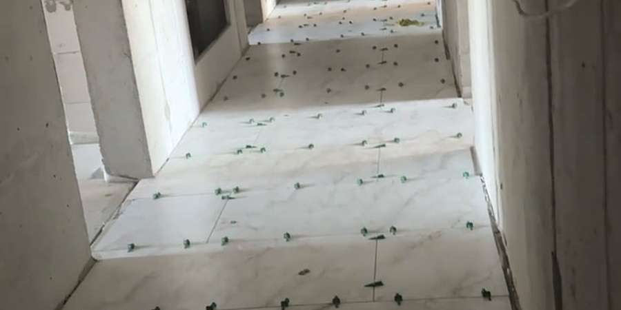 Фото 2. Август 2025