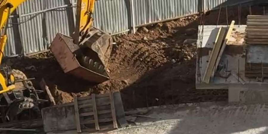 Фото 4. Листопад 2024