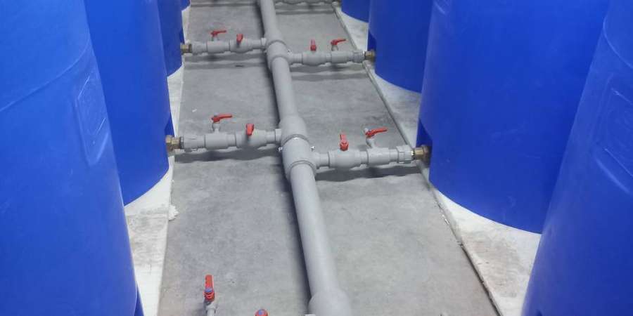 Фото 17. Январь-Февраль 2026