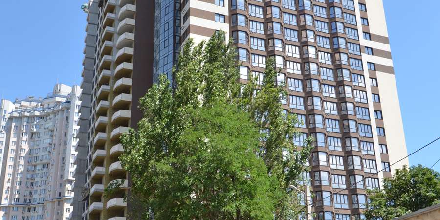 Фото 5. Июль 2023