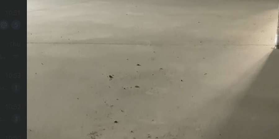 Фото 6. Март 2024