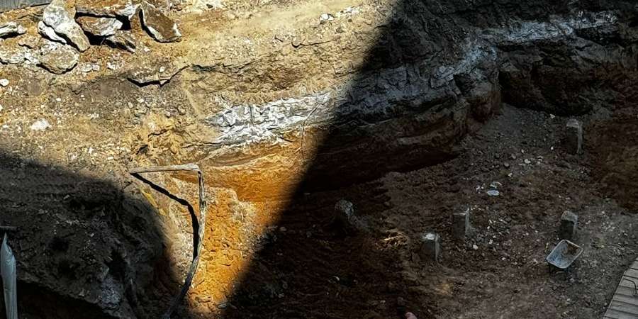 Фото 9. Липень 2024