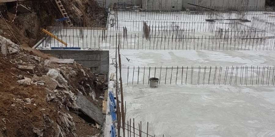 Фото 13. Февраль 2019