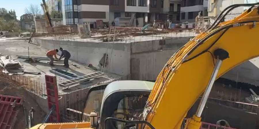 Фото 13. Листопад 2024