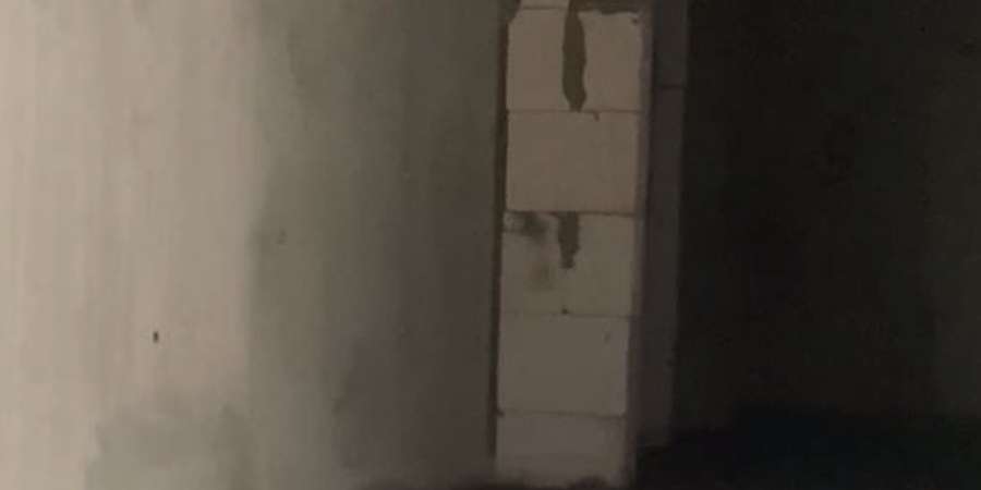 Фото 11. Февраль 2024