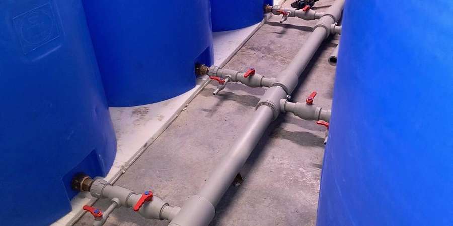 Фото 10. Январь-Февраль 2026