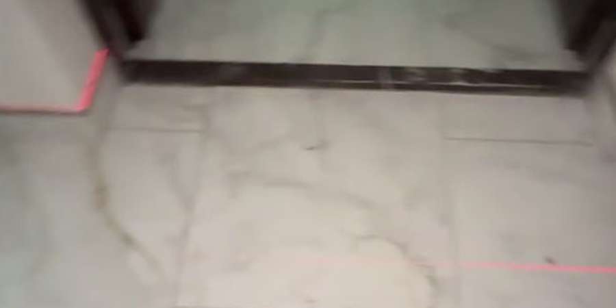 Фото 5. Серпень 2024