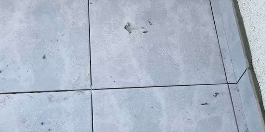 Фото 18. Липень 2025