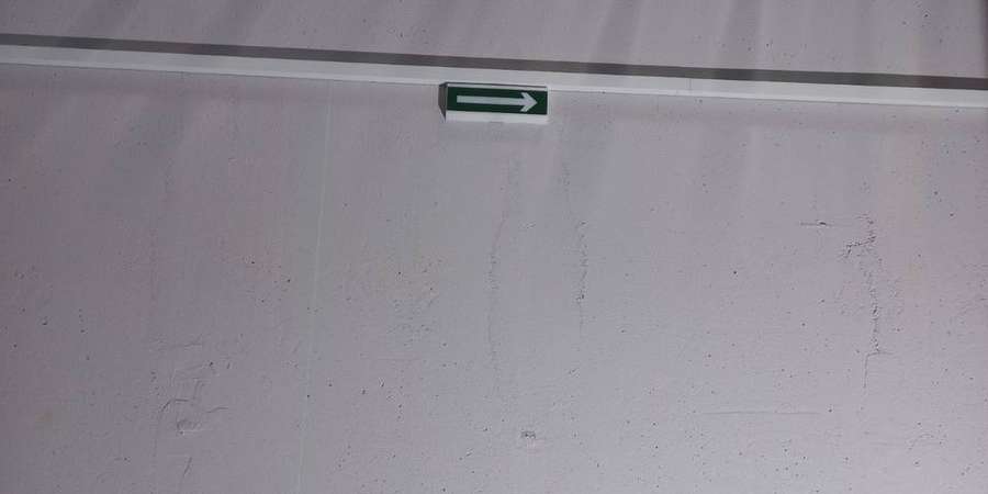 Фото 7. Листопад 2025