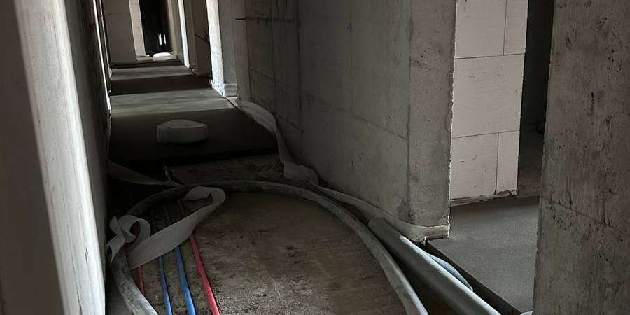 Фото 26. Январь 2025