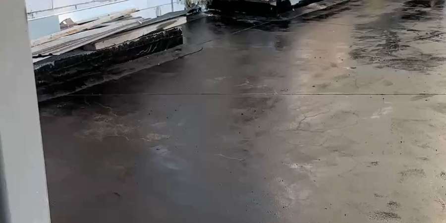 Фото 6. Липень 2025