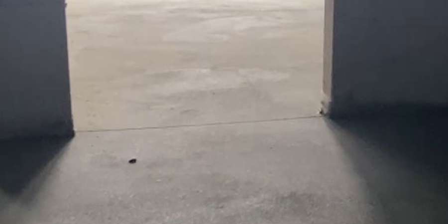 Фото 10. Март 2024